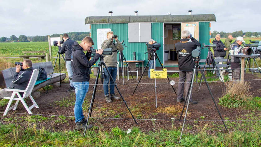 (Telpost Brobbelbies). Foto van Leo Baldering.
Drukte bij de keet